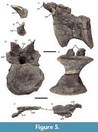 s figure5
