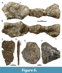 s figure6