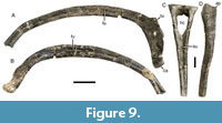 s figure9
