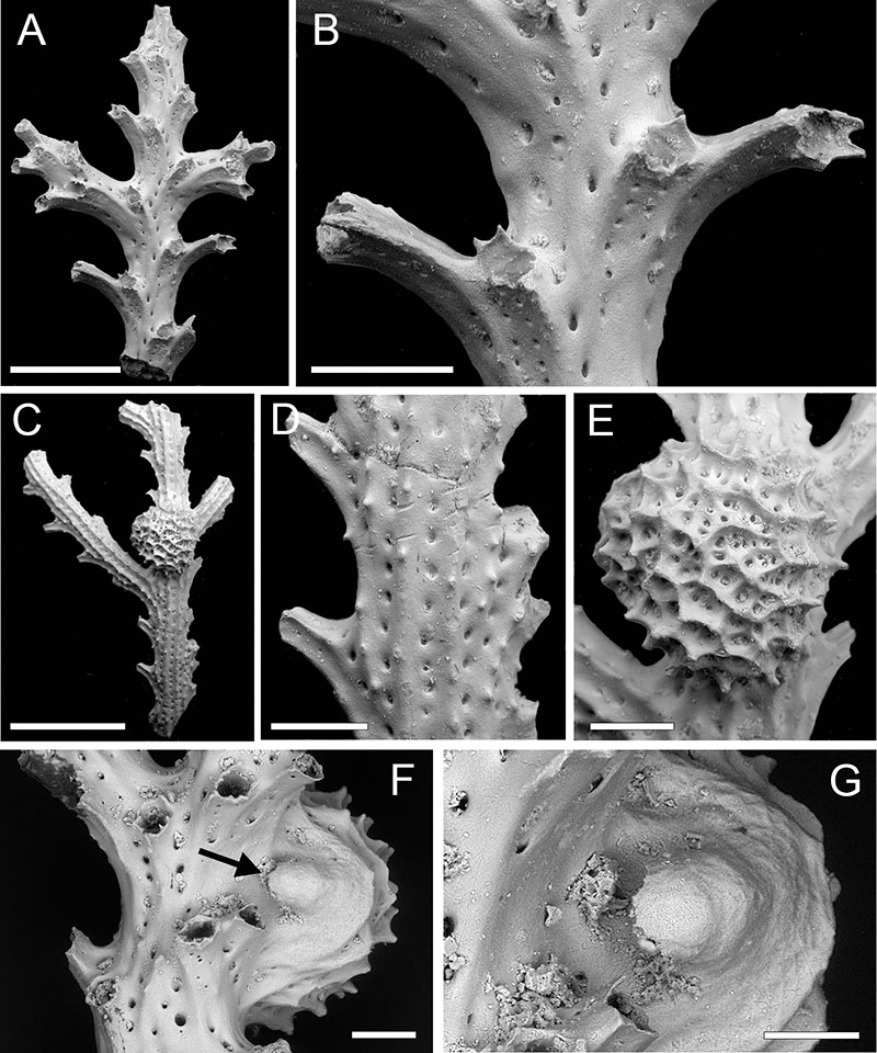 figure13