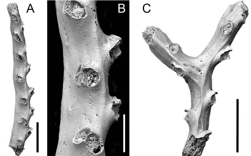 figure14