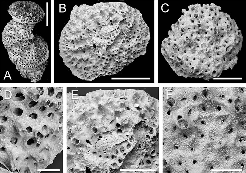 figure15