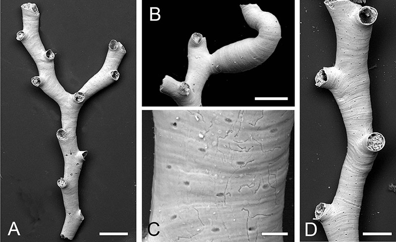 figure3