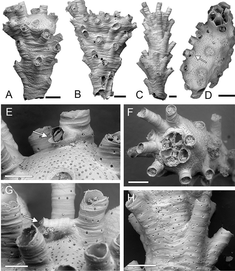 figure7