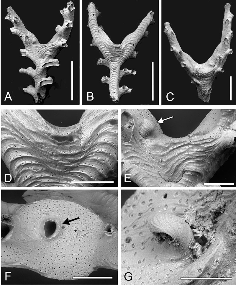 figure9