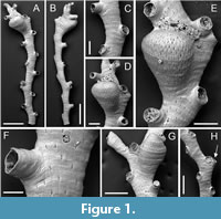 s figure1