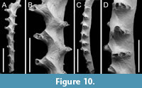 s figure10