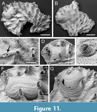 s figure11