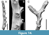 s figure14