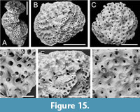 s figure15