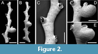 s figure2