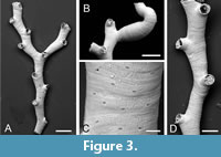 s figure3