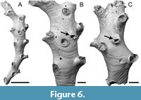 s figure6
