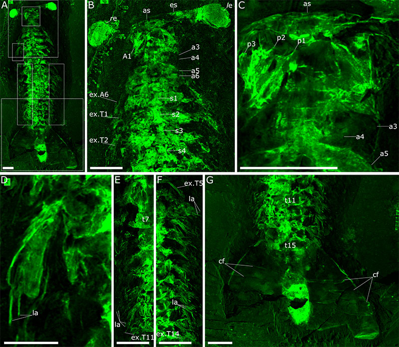 figure2