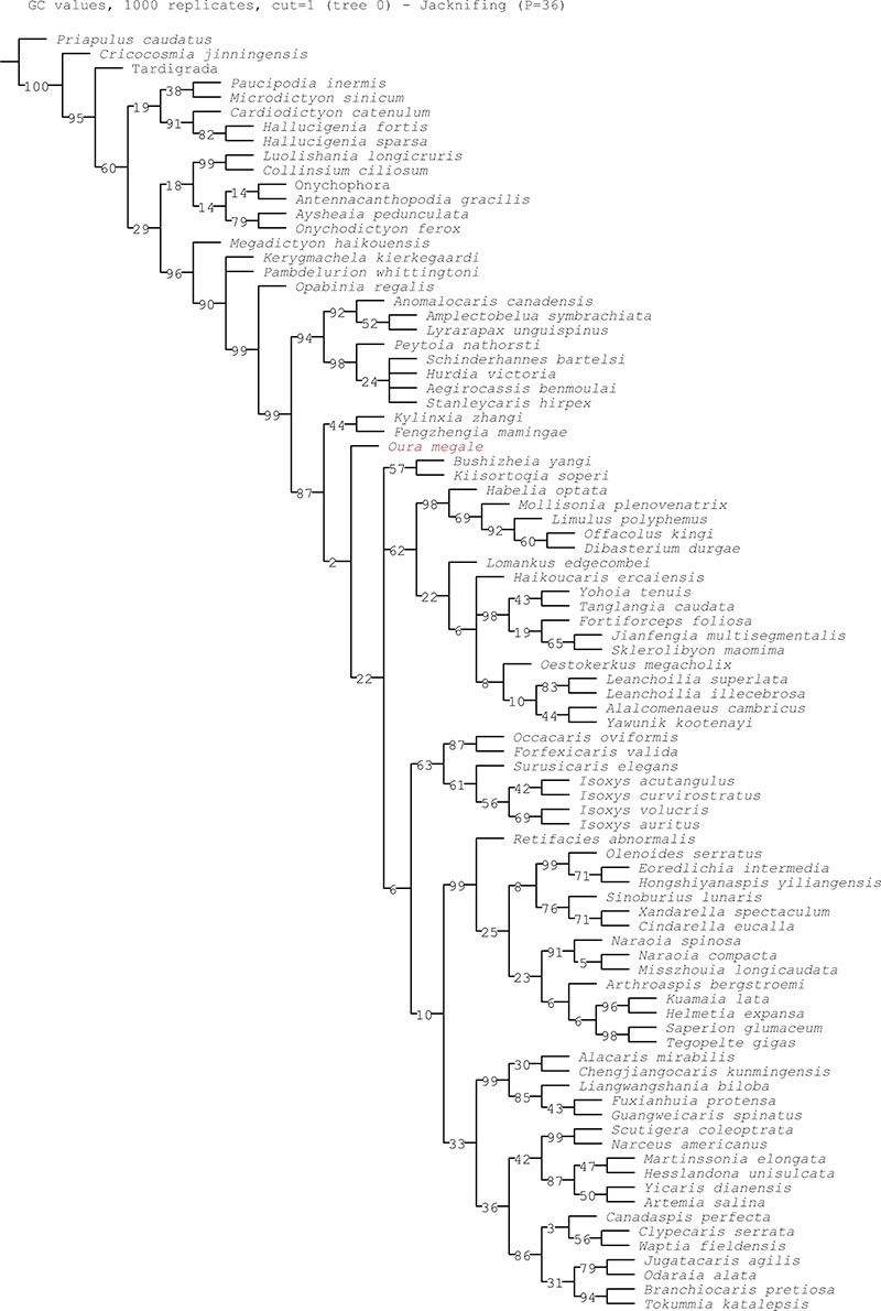figure4