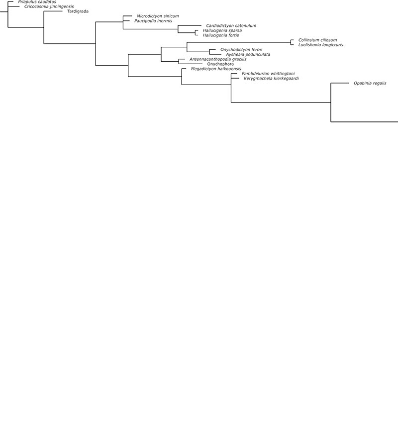 figure6a
