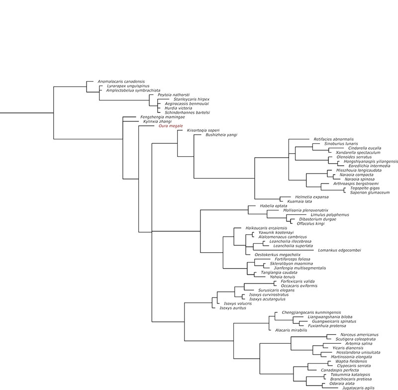 figure6b
