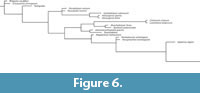 s figure6a