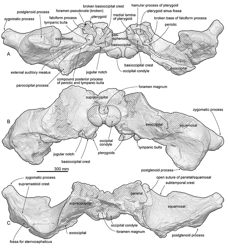 figure10