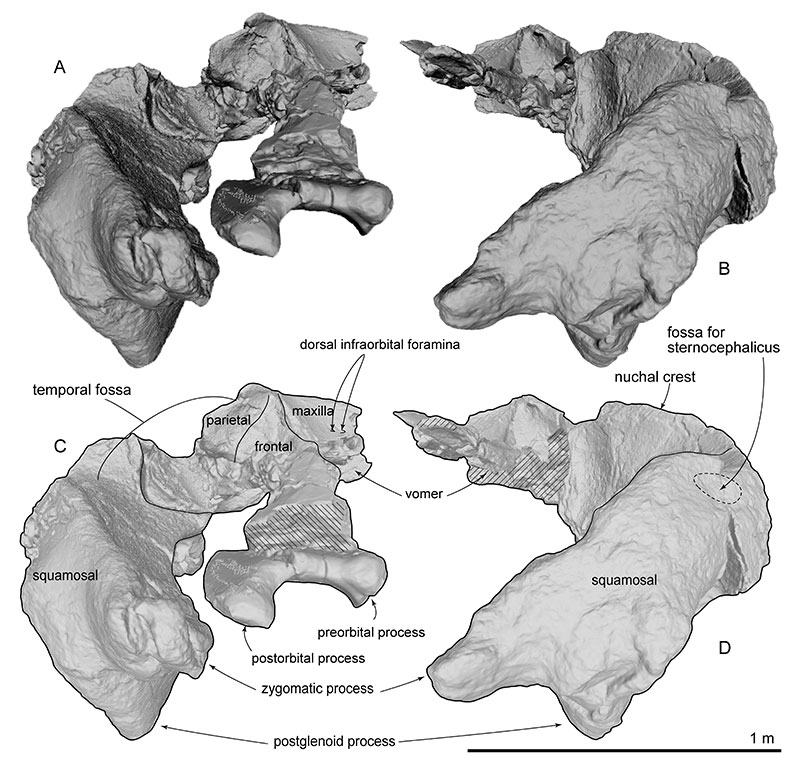 figure11