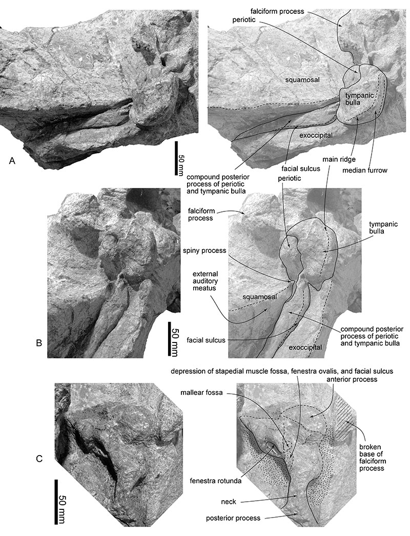 figure12