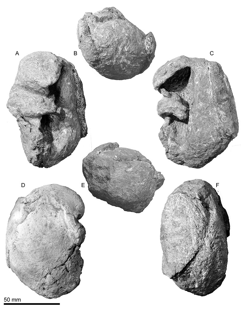 figure13