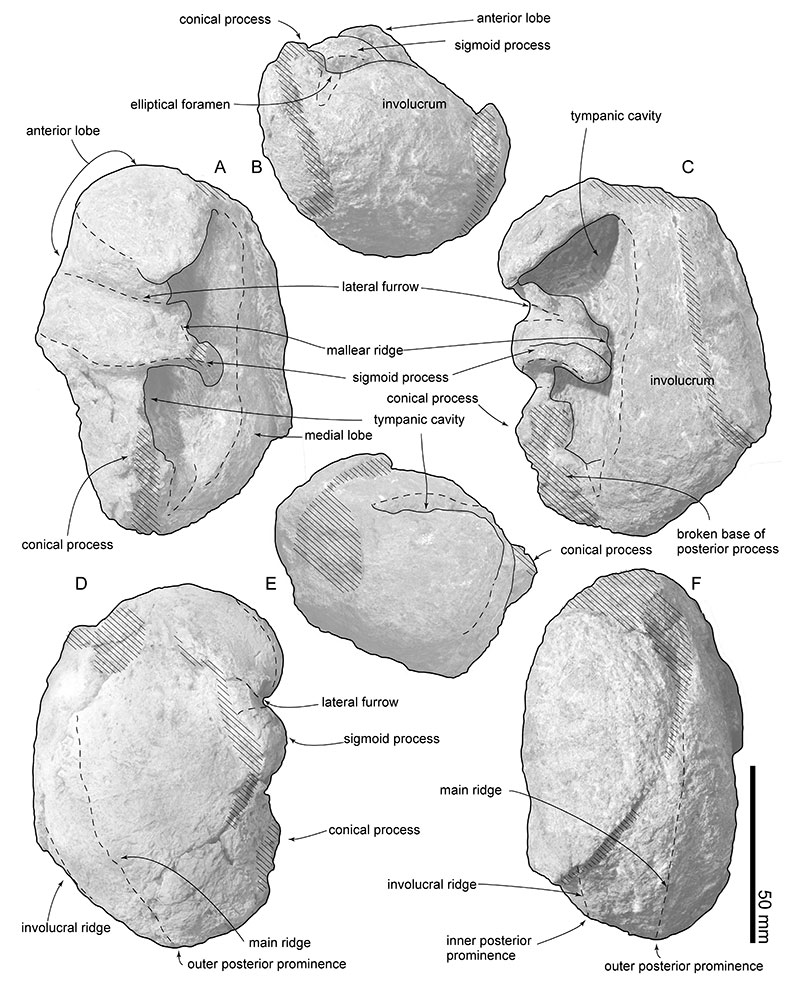 figure14