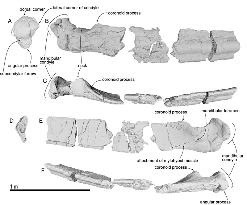 figure15