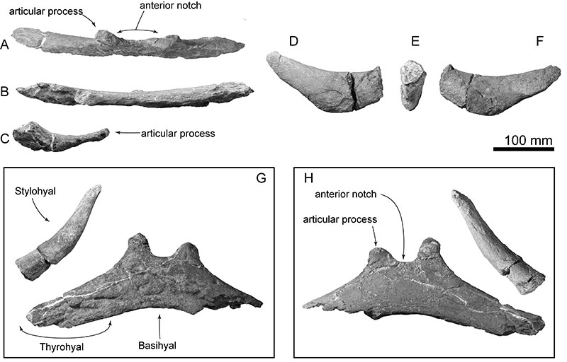 figure16