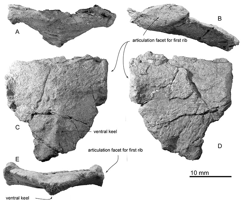 figure17