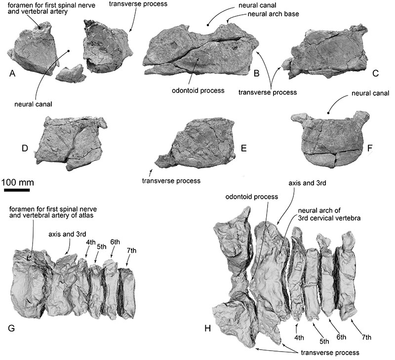 figure18