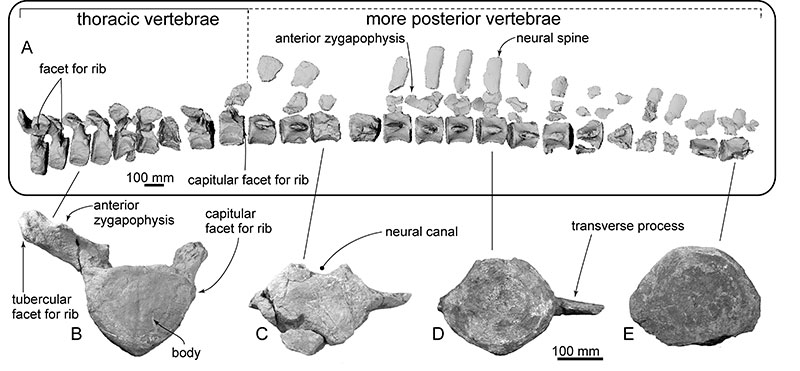 figure19