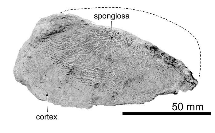 figure21