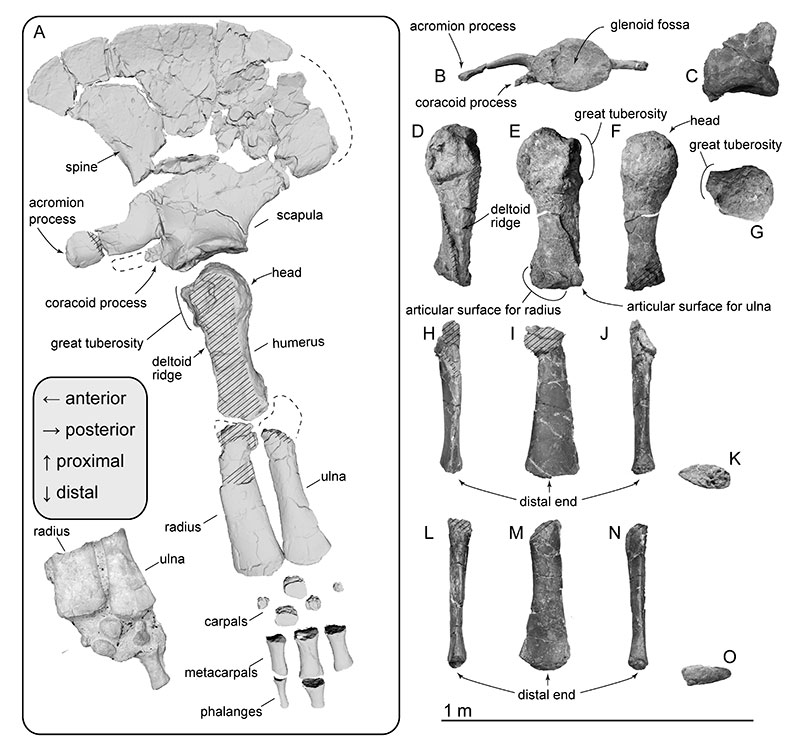figure22
