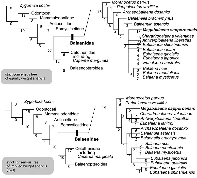 figure23