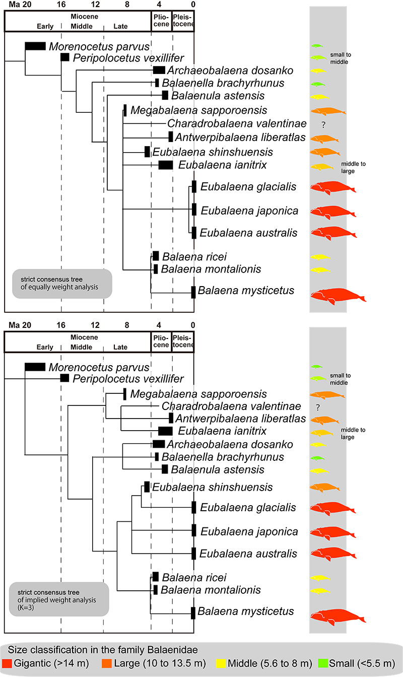 figure24