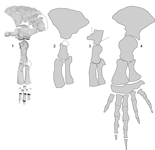 figure26