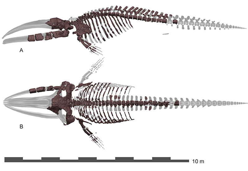 figure3