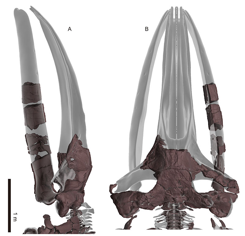 figure4
