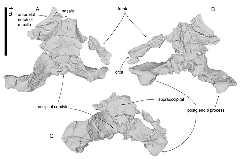 figure5