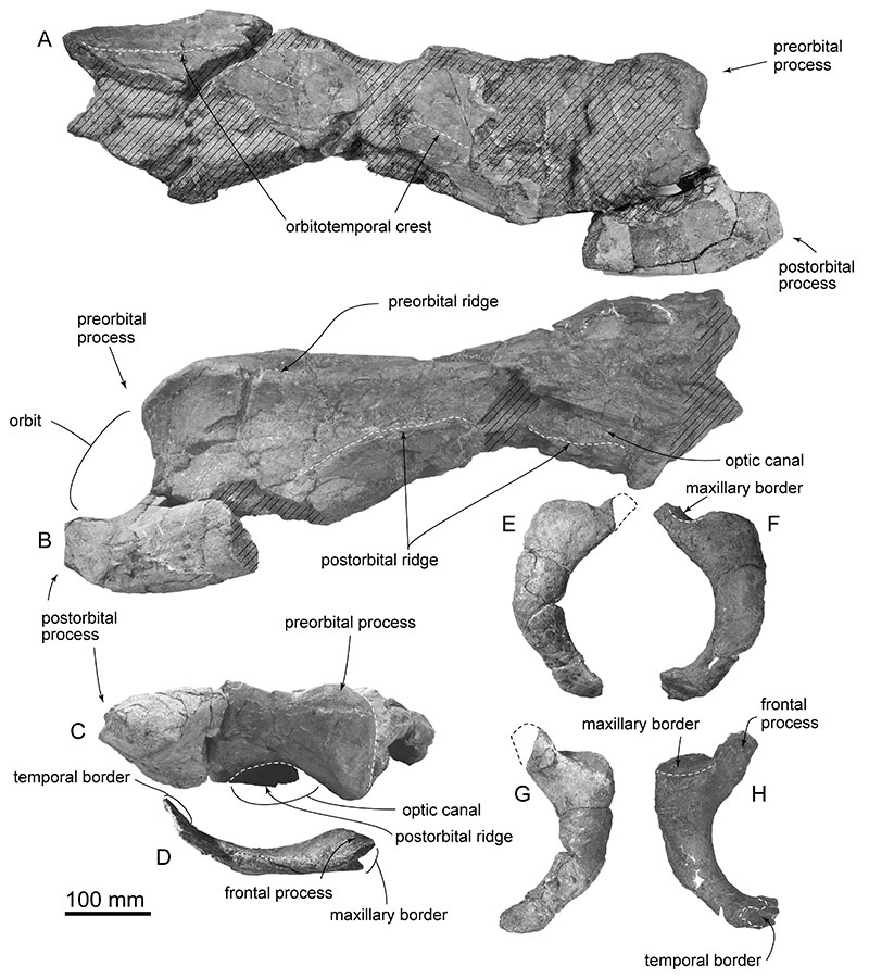 figure6