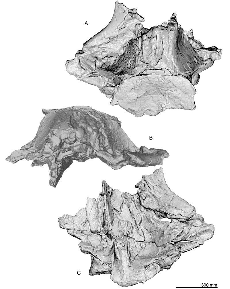 figure7