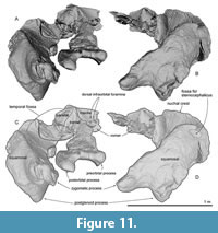 s figure11