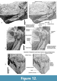s figure12