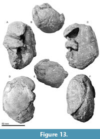 s figure13