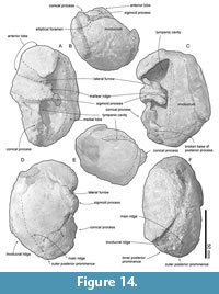 s figure14