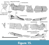 s figure15