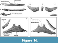 s figure16