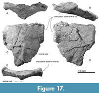 s figure16