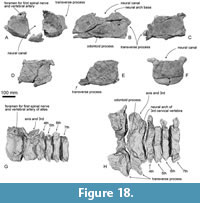 s figure18